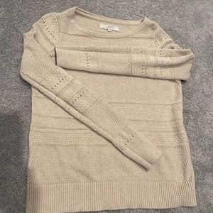 Ann Taylor Loft Sweater